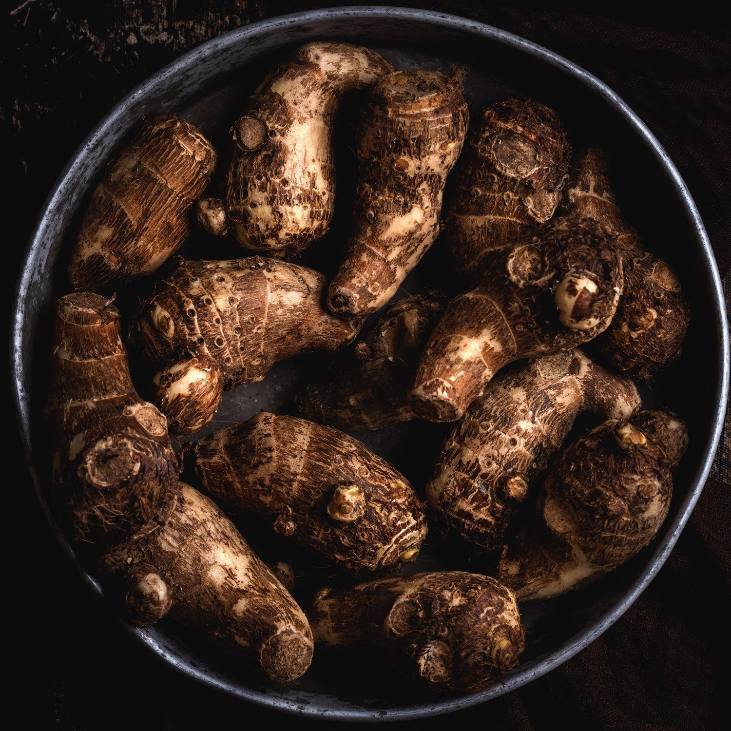 Bitter Gourd