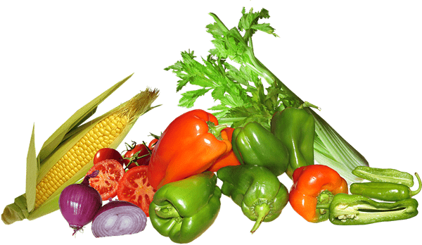 Why Choose Vasum Food